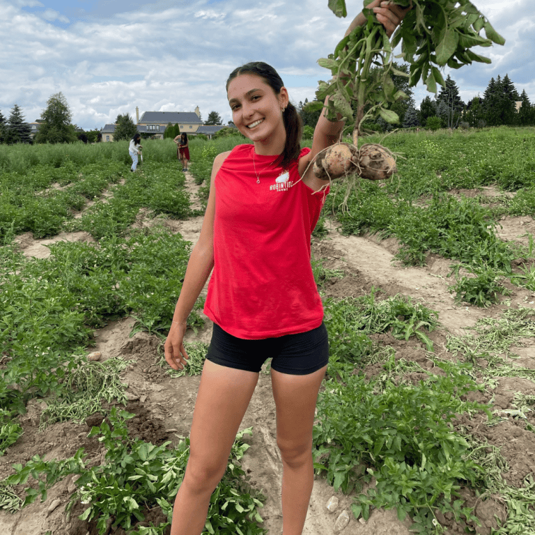 Robinntide Farm Vegetables - Robintide Farms