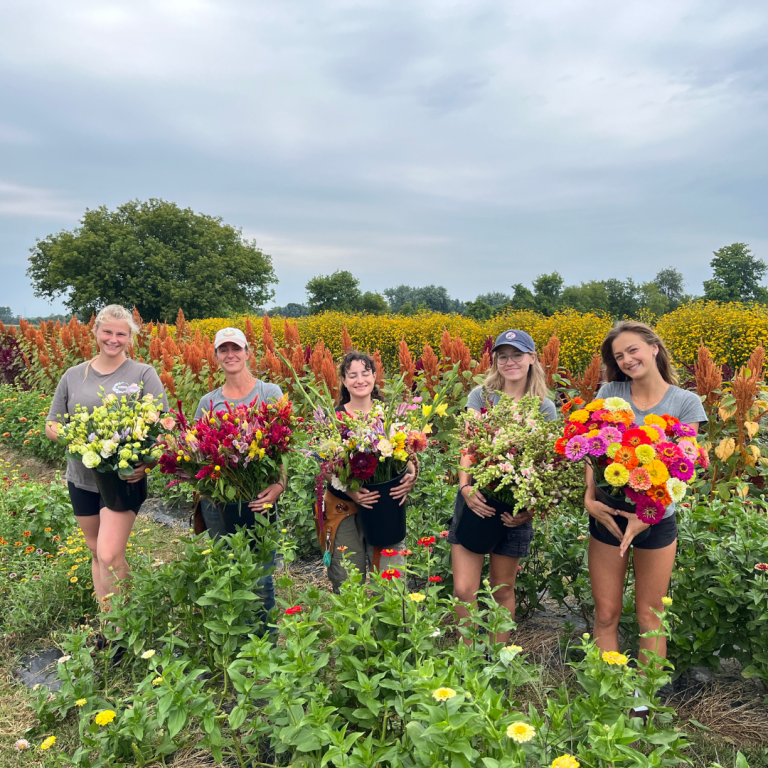 Robinntide Farm Cut Flowers - Robintide Farms